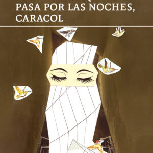 Sabemos lo que pasa por las noches, caracol Sergio Bizzio